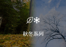 这是描述信息