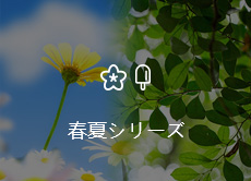 这是描述信息