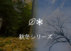 这是描述信息